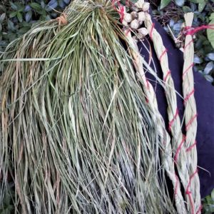 Le foin d’odeur - Hierochloe odorata –