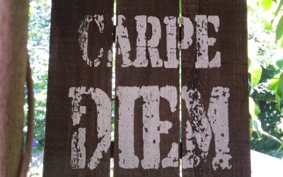 Carpe Diem